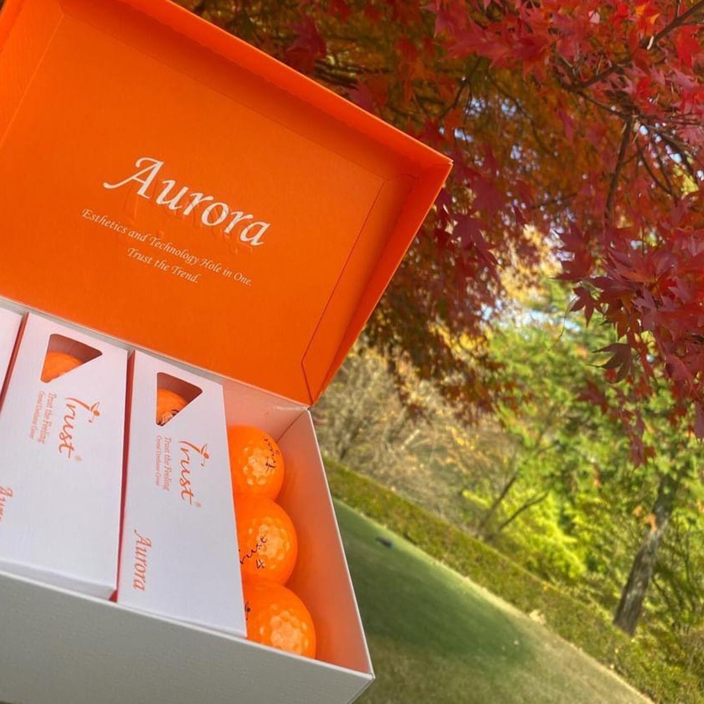 K9 Model- Aurora Orange- Crystal Urethane Cover with Dynamic Core